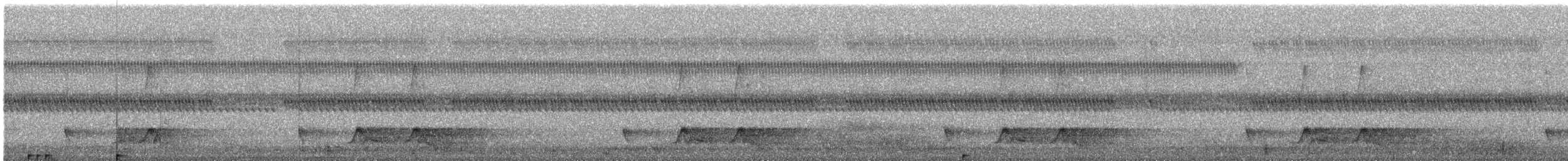 Chuck-will's-widow - ML635343063