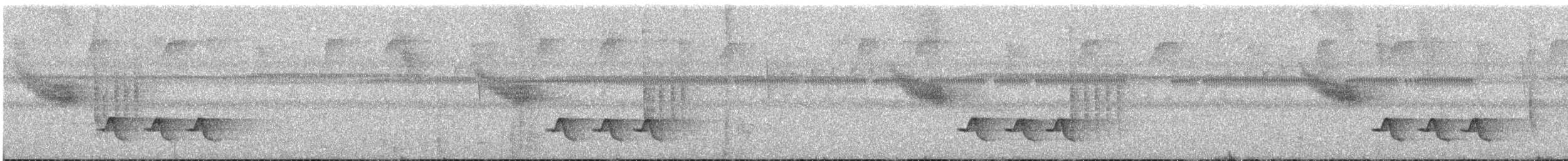 White-breasted Wood-Wren - ML635348767