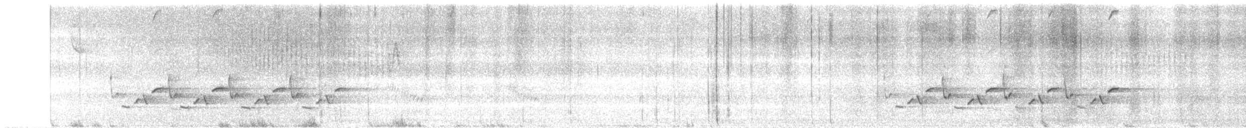 Carolina Wren - ML635349082