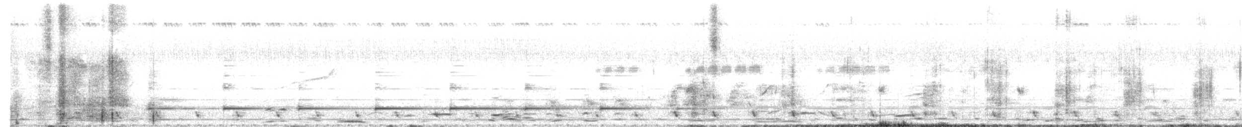 Jungle Nightjar - ML635349167