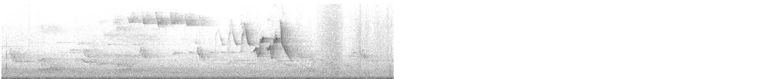 Blackpoll Warbler - ML635351352