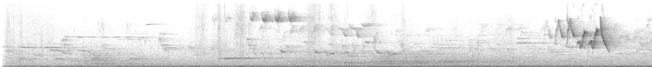 Blackpoll Warbler - ML635351415