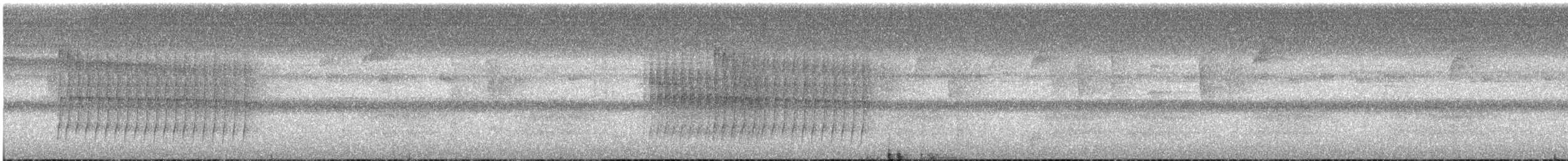 Spot-winged Antbird - ML635351497