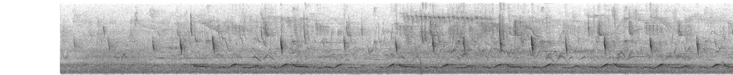 Spotted Wood-Quail - ML635352213