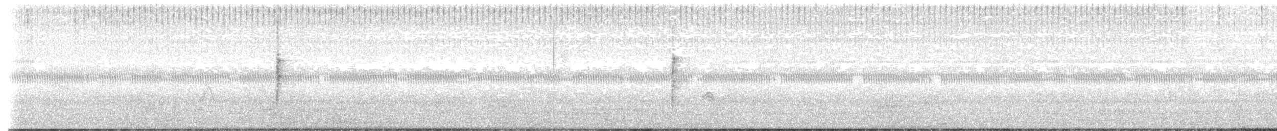 blåtykknebb - ML635352221