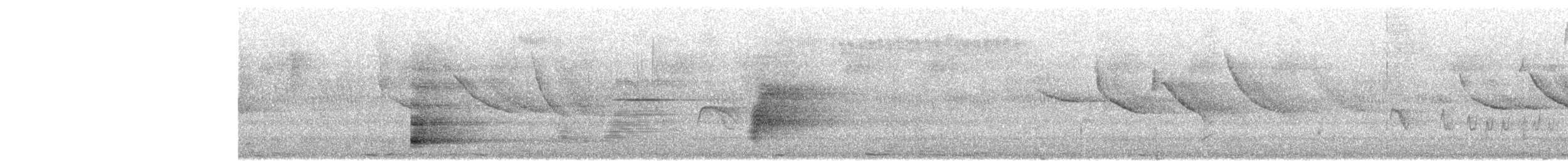 Araponga tricaronculé - ML635352434