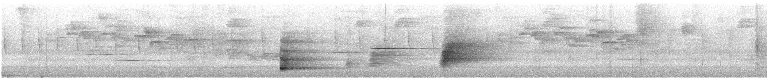 Araponga tricaronculé - ML635352435