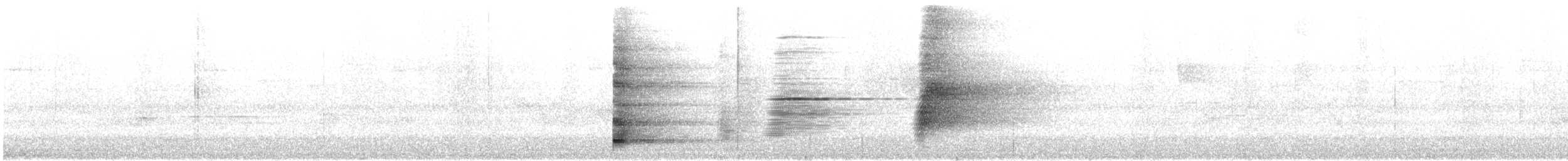 Araponga tricaronculé - ML635352436