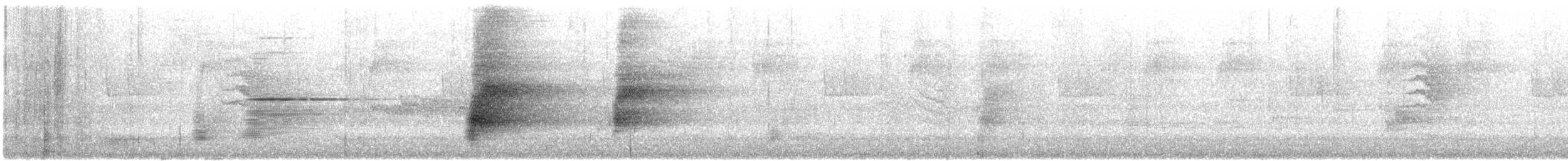 Araponga tricaronculé - ML635352438