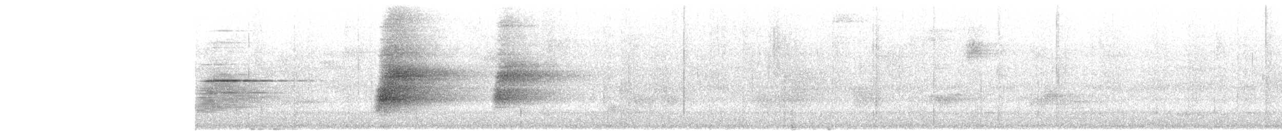 Araponga tricaronculé - ML635352439