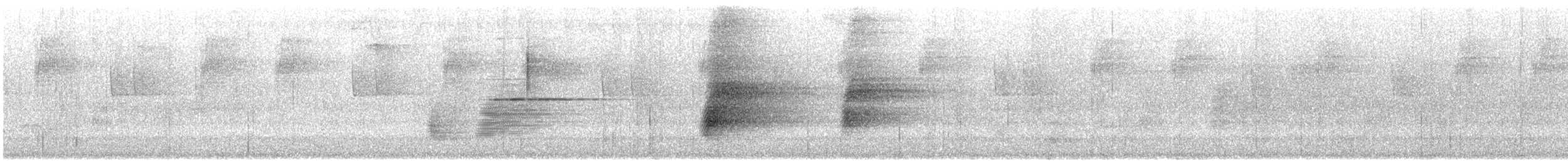 Araponga tricaronculé - ML635352440