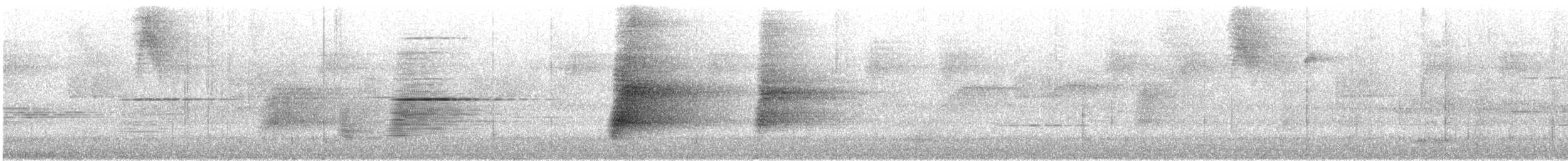 Araponga tricaronculé - ML635352442