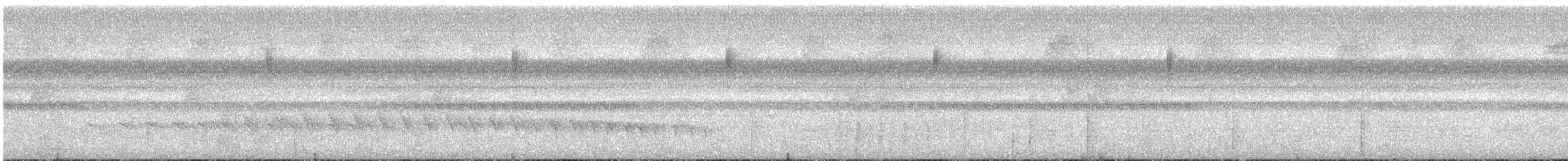 Moustached Antwren - ML635352484