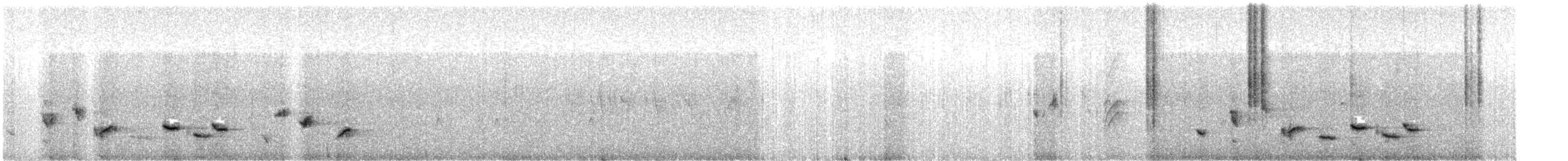 Scott's Oriole - ML635352987