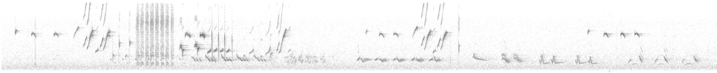 Black-throated Sparrow - ML635353238