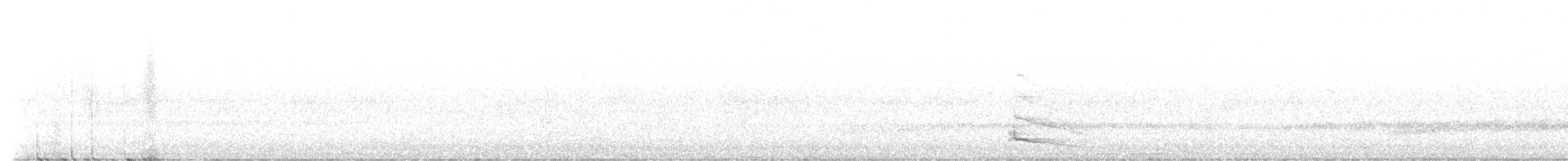 Australian Owlet-nightjar - ML635354224