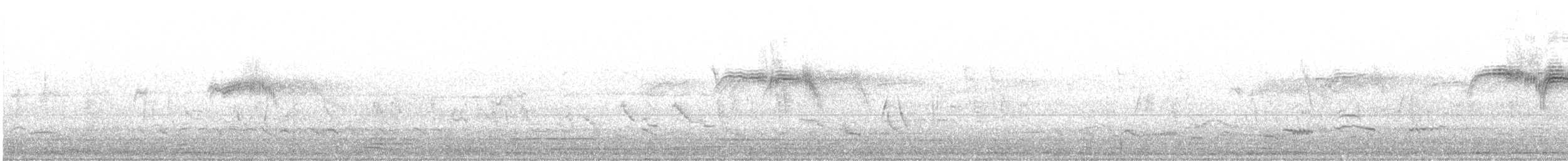 Common Swift - ML635354365