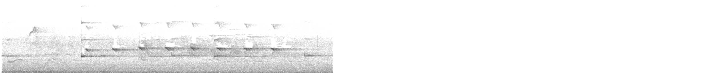 Autour blanc - ML635354798