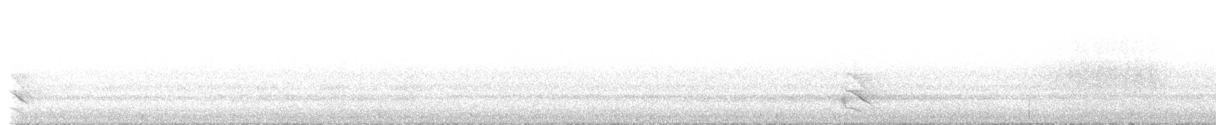 Australian Owlet-nightjar - ML635354852