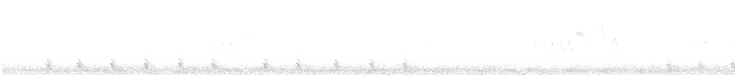 Tibet Urkekliği - ML635355225