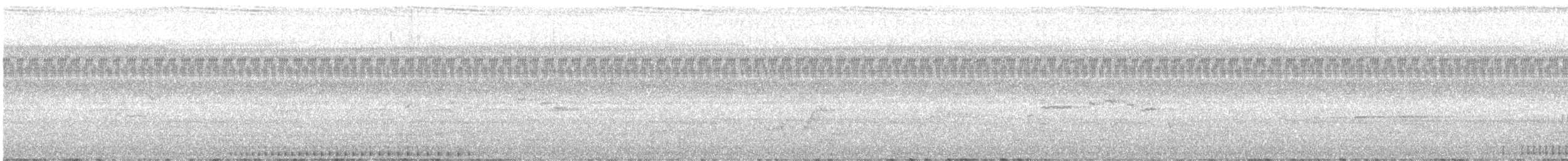 Бамбуковый дятел - ML635356161