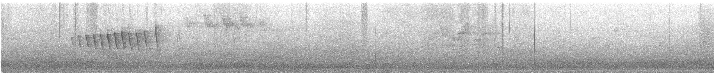 lesňáček čepičatý - ML635359642