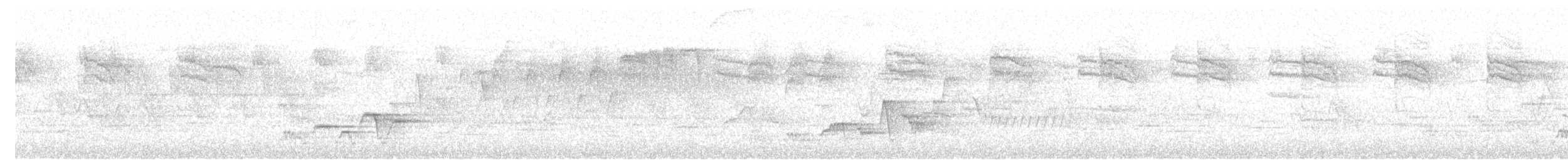 Swainson's Thrush - ML635361151