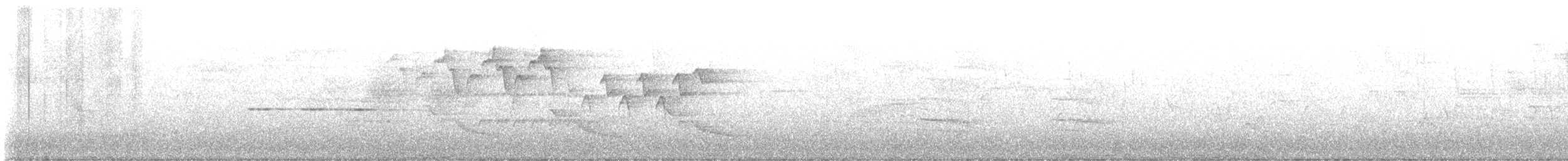 Magnolia Warbler - ML635362232