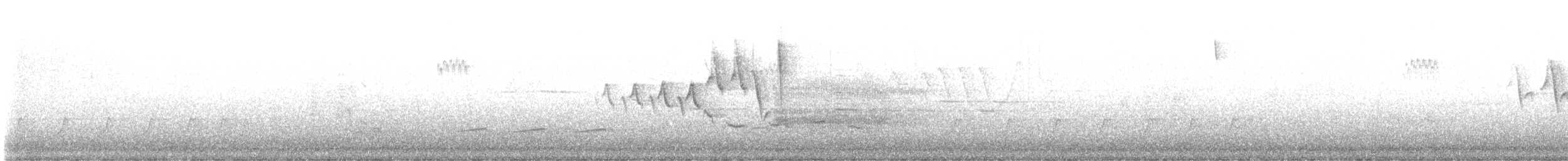סבכון צהוב - ML635362333