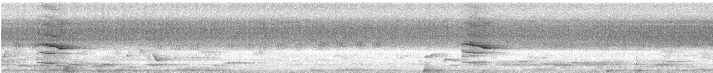 Southern Hill Myna - ML635362688