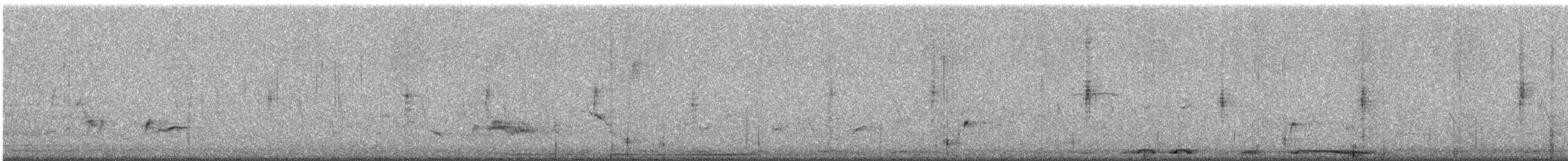 White-tipped Dove - ML635363587
