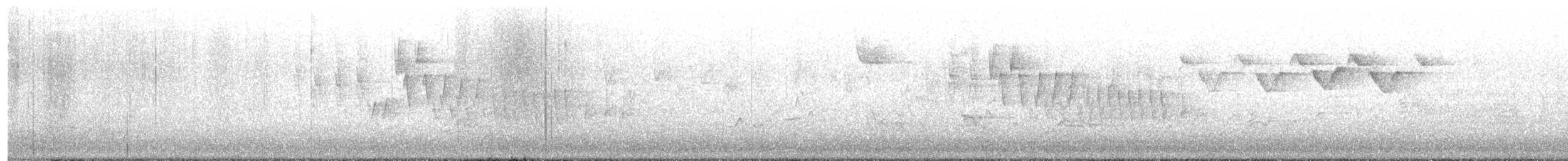Black-and-white Warbler - ML635365763