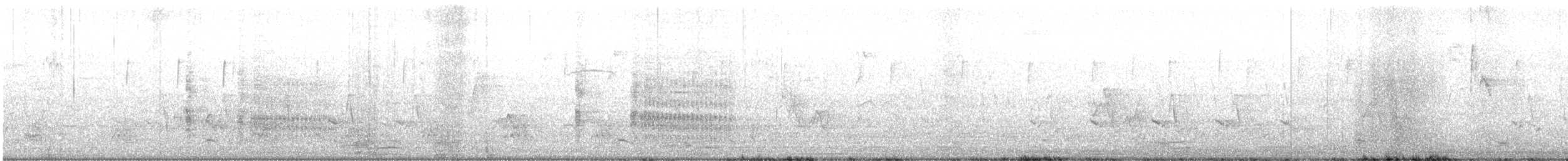 King Rail - ML635366548