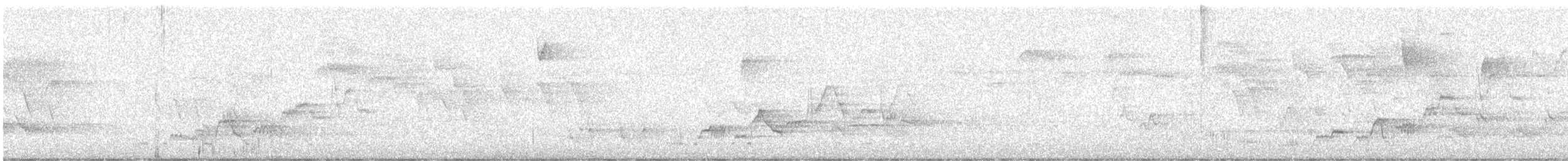 Swainson's Thrush - ML635369143