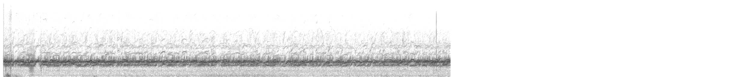 Pied Avocet - ML635369496