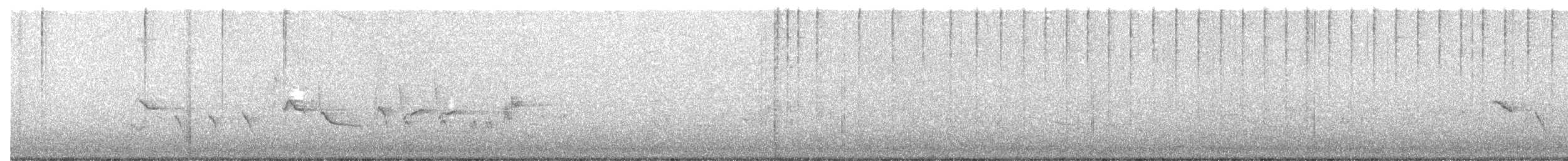 Orchard Oriole - ML635370235