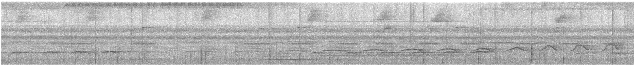 Gray Antwren - ML635371940