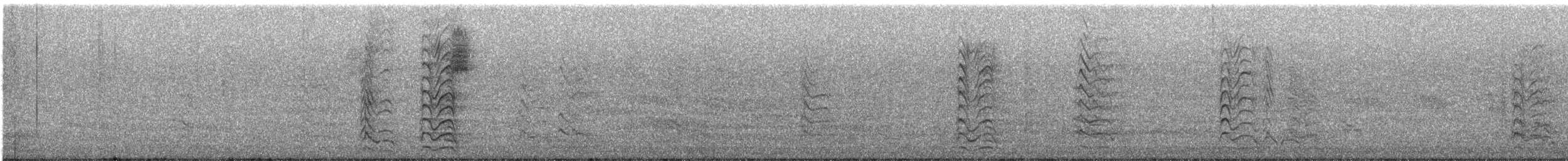 שחף צוחק - ML635374311