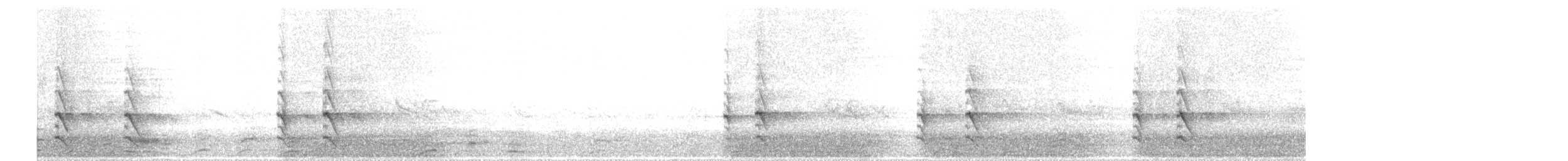 Dominohabicht - ML635374897