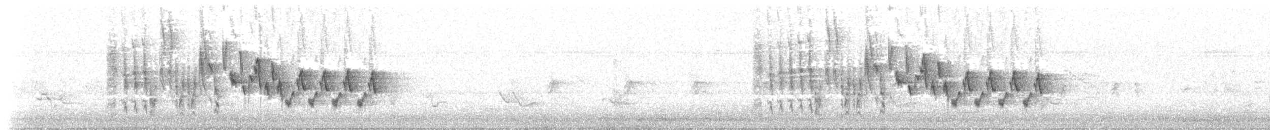 Northern House Wren - ML635376360