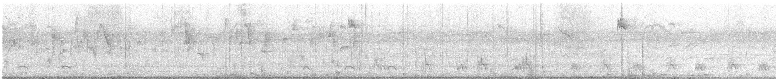 Rio Branco Antbird - ML635378847