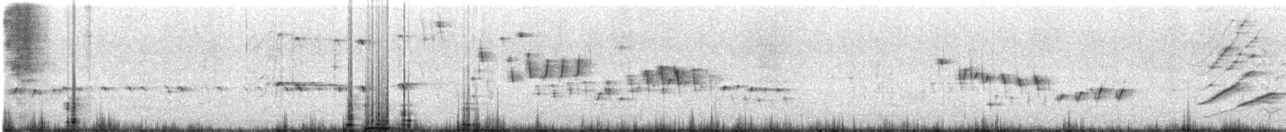 Northern House Wren - ML635379547