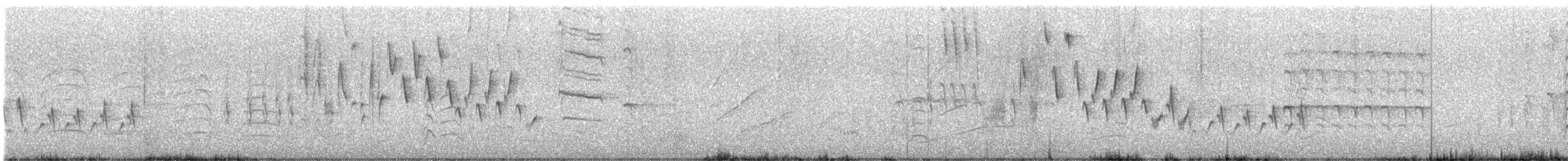 Northern House Wren - ML635379548