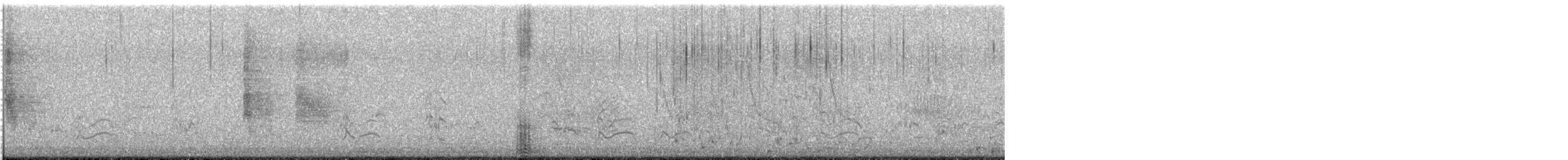 Smergo minore - ML635380133