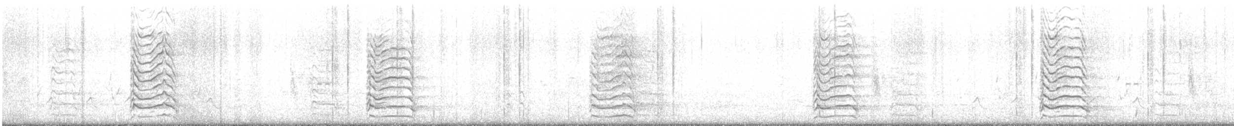 שחף צוחק - ML635380143