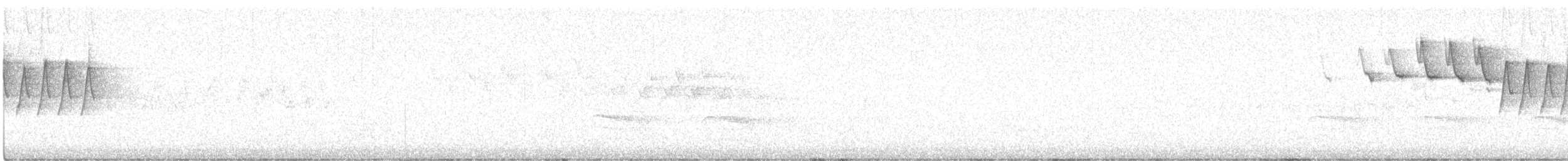 Nashville Warbler - ML635381336