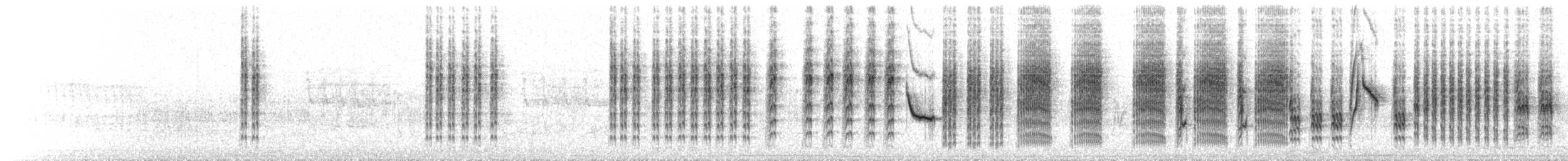 Sedge Warbler - ML635382568