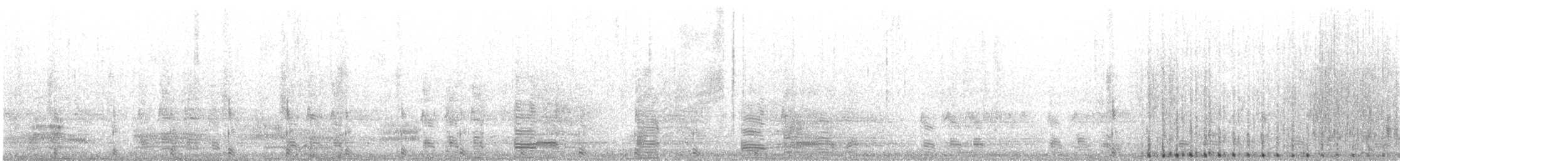琵嘴鴨 - ML635385479