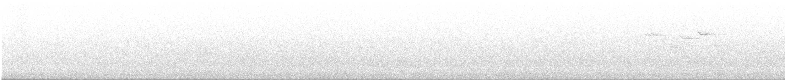 Brown Creeper - ML635387491