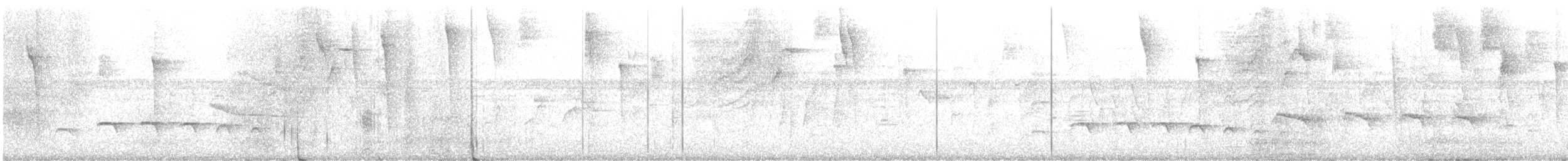 Parker's Antbird - ML635392254